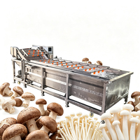 Automatische ozonbel-staalmotorpomp voor wasmachines met hoge capaciteit voor de verwerking van champignons, schimmels, fruit, groenten en voedsel in fabrieken