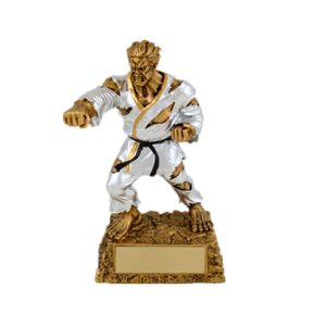 Nanwei Résine Karaté Fighter Trophée Prix d'arts martiaux Figurine Fournisseur - Product Image 1