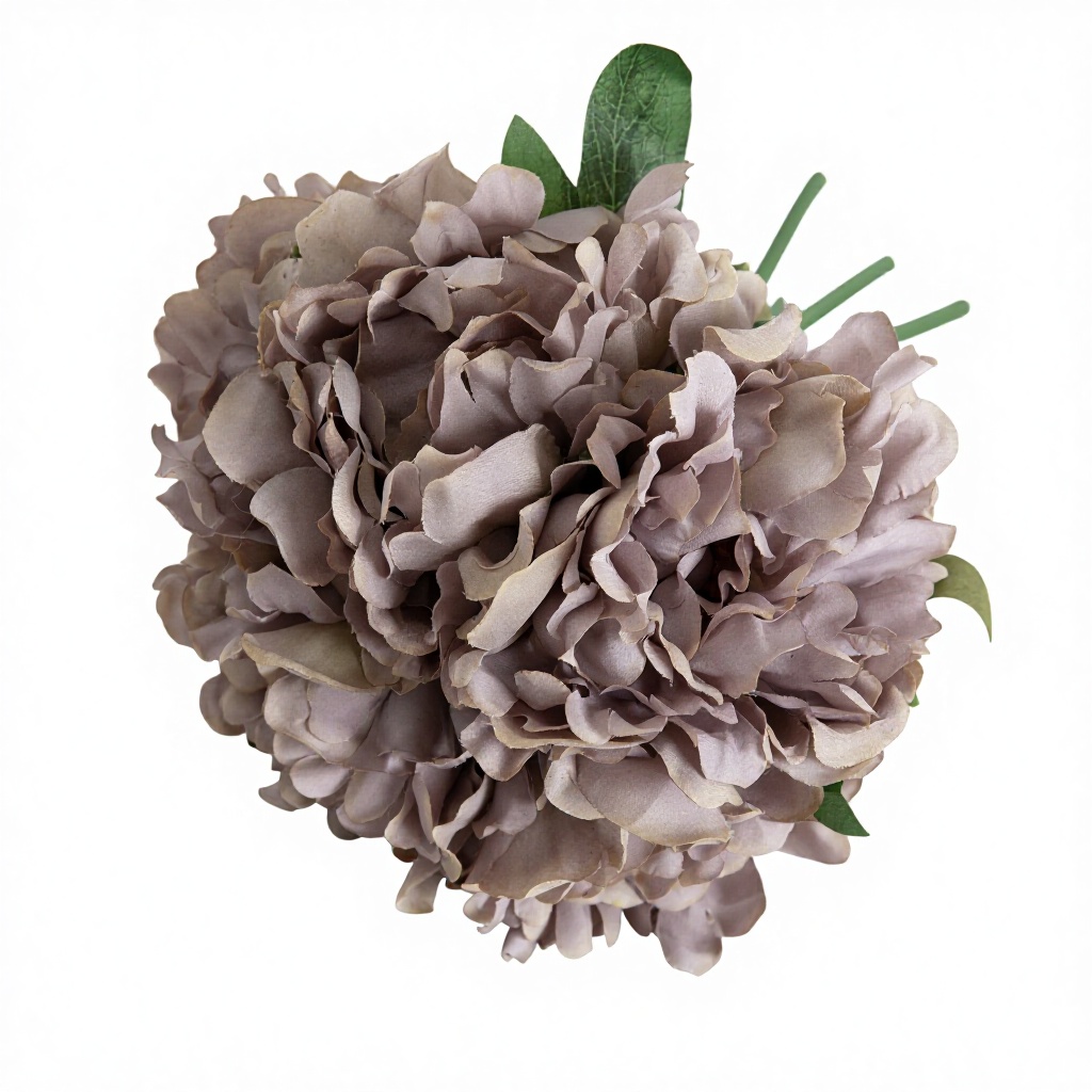 เขียวเข้ม