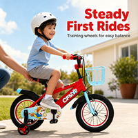Bicicletta per Bambini 12'' 14'' 16'' 18'' Rossa Blu Rosa Grigia per Ragazzi e Ragazze Sport all'Aperto con Ruote Staccabili