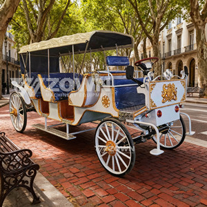 Voiture électrique royale multi-passagers blanche et bleue avec emblème doré pour les excursions panoramiques des châteaux - Product Image 4