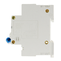 Interruptor Automático Miniatura (MCB) de 2 Polos, 125A, CA, para Riel DIN, 400V, 10kA, Tipo D