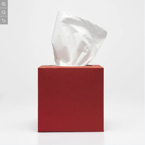 High Quality Eco-Friendly 2-Ply Soft <b>Box</b> <b>Tissue</b> Customized Biodegradable Facial Paper for Home Use - Product Image 2