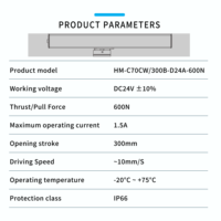 Abreventanas Eléctrico de Cadena de Alta Potencia 600N DC24V IP66 Impermeable con Carrera de 300mm para Claraboyas y Sistemas de Ventanas Inteligentes