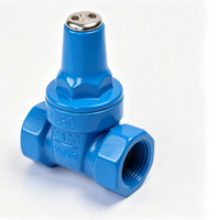 Vanne à opercule filetée manuelle à joint souple PN10, connexion optionnelle pour compteur d'eau, 1/2"-4", pour alimentation en eau des bâtiments civils, OEM