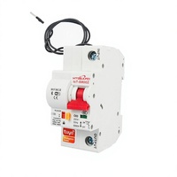 Interrupteur d'éclairage sans fil Wifi Tuya APP, commande à distance, pour maison intelligente DIY, disjoncteur miniature MCB PA66 1P 2P 3P 4P
