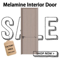 Portes intérieures pour la décoration de la maison, pour chambre et villa, plusieurs styles disponibles