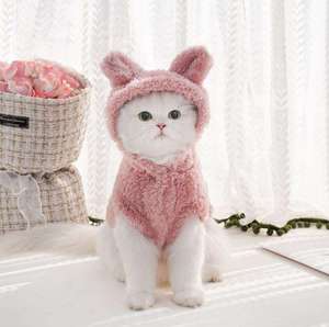 High Quality Soft Cotton Wool Pet Hoodie New <strong>Rabbit</strong> Ears Wholesale Cat Dog Supplies for Winter Pet <strong>Clothes</strong> for Spring Season - Product Image 1