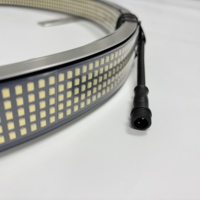Kingshowstar 4-teiliges 17-Zoll 10-reihiges Reinweißes Radbeleuchtungsset mit Modul 12V IP67 Plug-and-Play 5-reihige Doppelseitige Radlichter