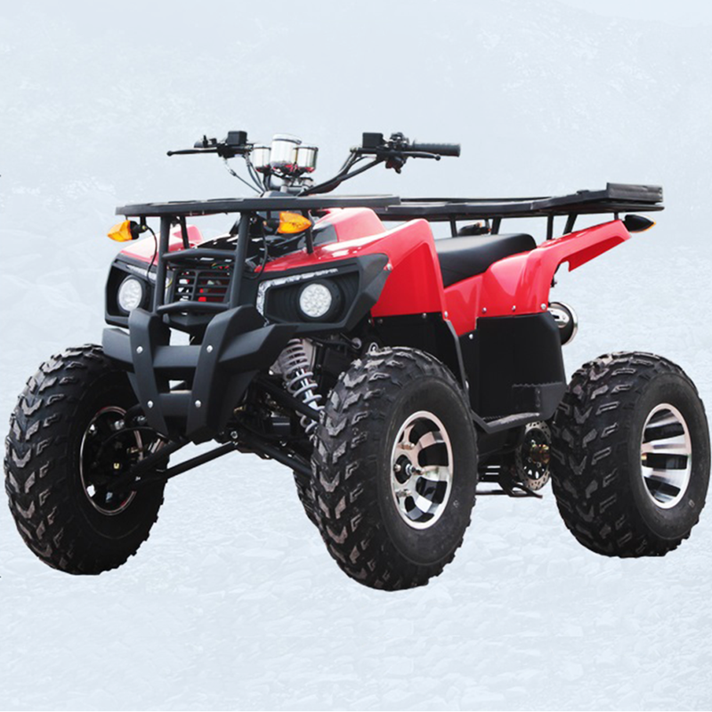 49CC Children s ATV Beach Buggy