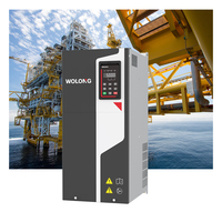 WOLONG VF Triphasé 380V ~ 480V 310A 160kW Contrôle vectoriel VFD pour ventilateur pompe compresseur AC Drive Motor
