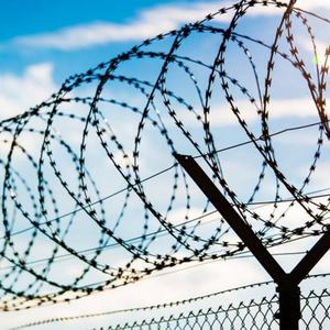 Fil de fer barbelé simple galvanisé en bobine, anti-corrosion, pour la construction de clôtures de sécurité, protection en fil de fer - Product Image 3