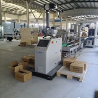 Robot Arm Cobot Palletizer Kolaboratif 30kg dengan Repeatabilitas Tinggi untuk Penumpukan Karung Beras, Kotak, dan Karton di Pabrik Makanan