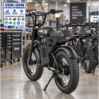 Vélo électrique ZUMI OEM ODM 1000W à pneus larges, 48V 15Ah, écran LCD, vente en gros, fournisseur de vélos électriques pour la plage