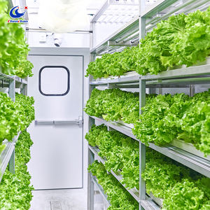 Mobiler Pflanzcontainer 40 Fuß Vertikaler Farming-Container Modulares Design Hydroponisches Anbausystem - Product Image 5