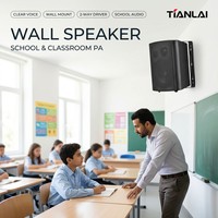 TL-MP3 717A Sınıf Aktif Hoparlör Çifti, U Şekilli Braketli 20 30W Duvara Monte 105dB 111dB Tepe SPL Okul Öğretim Kullanımı İçin
