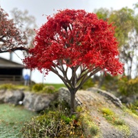 Modèle d'arbre miniature en plastique multi-échelles HO et N, accessoire de paysage DIY pour diorama architectural et table de sable