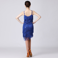 Robe de danse latine à franges pour adultes Robe de boîte de nuit à pampilles des années 1920