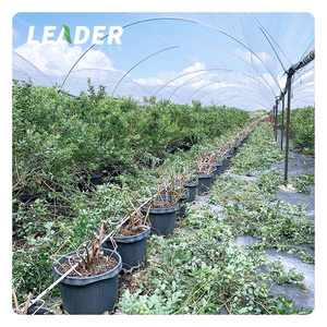 <span class=keywords><strong>Kit</strong></span> de serre à myrtille avec couvercle <span class=keywords><strong>en</strong></span> plastique galvanisé, <span class=keywords><strong>abri</strong></span> contre la pluie multi-usage - Product Image 2