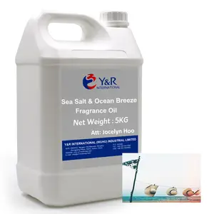 Nuevo aceite Olor Concentración Sal Marina Ocean Breeze Velas perfumadas de soja Aceite de fragancia para difusor