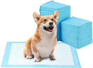 <span class=keywords><strong>Tapis</strong></span> absorbants jetables en charbon de bambou <span class=keywords><strong>pour</strong></span> chiens, à prix abordable, <span class=keywords><strong>pour</strong></span> l'hygiène des chiots et l'apprentissage de la propreté - Product Image 4