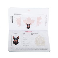 Vente flash : Passeport personnalisé en cuir imprimé couleur pour animaux de compagnie, cadeau idéal