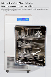 70L 150L 250L 500L 800L 1000L 1500L実験室生物学生化学冷却インキュベーターBOD冷蔵インキュベーター - Product Image 2