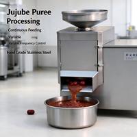 Machine Commerciale Automatique pour la Fabrication de Purée de Dattes Rouges (Jujubes) Dénoyautée et Épluchée, 3000 kg/h, en Acier Inoxydable 304, Séparation Peau-Graine