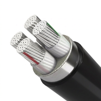 Câble d'alimentation blindé en aluminium XLPE PVC 0,6/1 kV Yjlv22, conducteur en aluminium, 2/3/4/5 conducteurs
