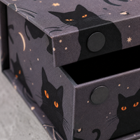Boîte à bijoux d'Halloween personnalisée, boîte cadeau rigide magnétique avec impression de chat noir, vente en gros, emballage pour bague et collier, OEM, luxe