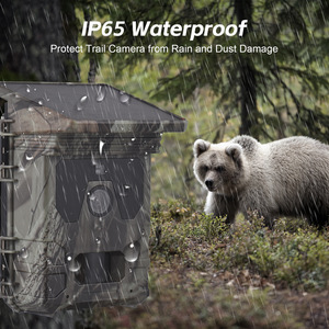 Caméra de chasse infrarouge à vision nocturne 50MP 4K pour extérieur, forêt, cerfs, IP65, avec batterie intégrée 4400mAh, CMOS - Product Image 4