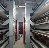 Cage à batterie empilable à cadre en H, 5 niveaux, en acier Q235 antirouille, pour volailles, avec bande de fumier