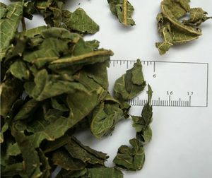 Hierba China FIGO COMUN (<span class=keywords><strong>FICI</strong></span> SYCONIUM, Ficus Carica) Hoja de 1 kg Lista para Consumir - Product Image 1