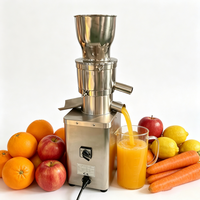 Commerciële sapcentrifuge, fruit- en groentesap-residu-scheider, fruit- en groentesap-scheidingsmachine