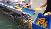 Ligne de production industrielle de maïs sucré en conserve : décorticage, blanchiment, lavage, déshydratation, emballage et traitement des grains de maïs.