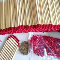 Crayon éducatif créatif de germination de graines de Capsule de bois brun biodégradable pour l'école primaire utilisation logo personnalisé en gros