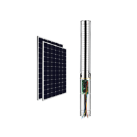 WINSOLAR Pompe à Eau Solaire Immergée DC 4 Pouces, Turbine en Acier Inoxydable, 300W à 2200W pour Système d'Irrigation