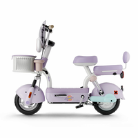 Vélo électrique pour adultes 48V 500W Batterie au plomb Cadre en acier Vitesse maximale 30-50 km/h Électronique haute vitesse