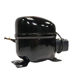 Điện AC 110V 60Hz phần tủ lạnh dfb30l máy nén lạnh R600a 220 240V - Product Image 3