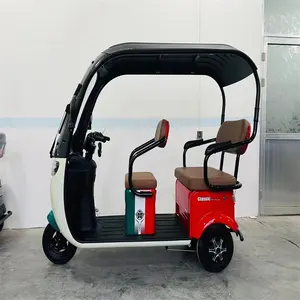 650 Watts Commander Factory Custom Wholesale High Quality Large Stock Freight Electric Tricycles Adult Electric Tricycle