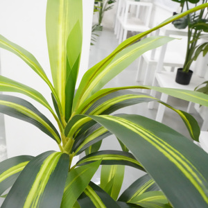 Hot Bán Nhân Tạo Mô Phỏng Brazil Gỗ <span class=keywords><strong>Dracaena</strong></span> Sàn Cây Trong Chậu Cho Đám Cưới Ngoài Trời Trang Trí Nội Thất Cây Cảnh Cây - Product Image 4