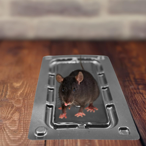 Piège à souris en plastique pour exterminateur Adhésif Colle à rat Colle Piège à souris - Product Image 2