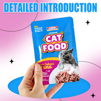 Feuille d'aluminium en plastique personnalisé fermeture éclair gousset chat chien sacs d'emballage alimentaire pour animaux de compagnie pochette à fond plat sac de nourriture pour chat