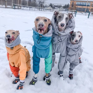 Traje Impermeable <span class=keywords><strong>para</strong></span> Perros de Raza Hound, Impermeable <span class=keywords><strong>para</strong></span> Galgos - Product Image 5