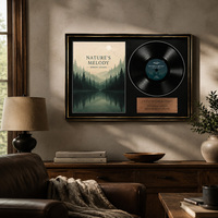 Boîte de présentation 3-en-1 pour objets de collection musicaux, cadre noir et or, pour œuvres d'art d'album, disque vinyle, plaque personnalisée, prête à accrocher au mur, coffret cadeau