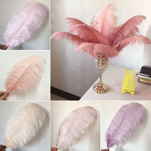 Multi-colore 50-55 cm struzzo grande piuma per la decorazione di nozze sud Africa <span class=keywords><strong>uccello</strong></span> vera arte Costume di carnevale - Product Image 6