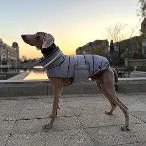 Venta al por mayor suave acolchado impermeable cálido invierno perro abrigo chaleco Whippets <span class=keywords><strong>italiano</strong></span> galgos <span class=keywords><strong>ropa</strong></span> - Product Image 2