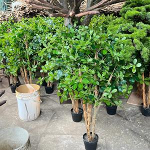 逼真的人造黑橄榄盆栽植物 仿真橄榄树 塑料抗紫外线环保家居办公室酒店装饰 - Product Image 3