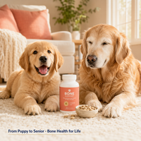 Complément Triple Calcium pour Chiens – Comprimés de Soutien à la Croissance Osseuse 500mg Vitamine D3 – Chiots et Animaux Âgés – 100 Comprimés – Vente en Gros