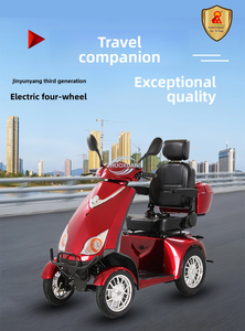 Stylish Color Electric Tricycle Family Daily Use Senior Riding Vehicle - Product Image 1